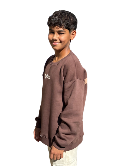 Brown Dunk Crew Neck